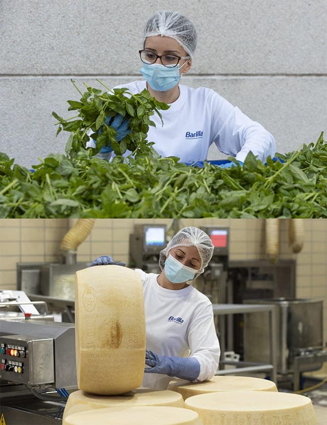 Delicate Preparation of Barilla® Pesto Sauce